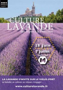 culture-lavande