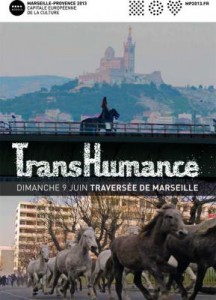 transhumance